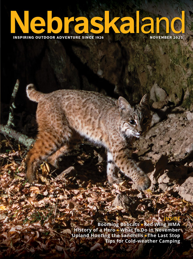 November 2023 Nebraskaland Magazine cover featuring a bobcat prowling at night.