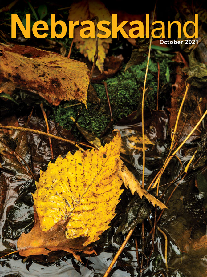 October 2021 cover of Nebraskaland featuring fall foliage.