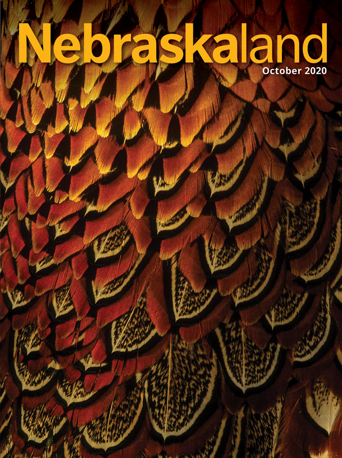 October 2020 cover of Nebraskaland featuring a close-up of pheasant plumage.