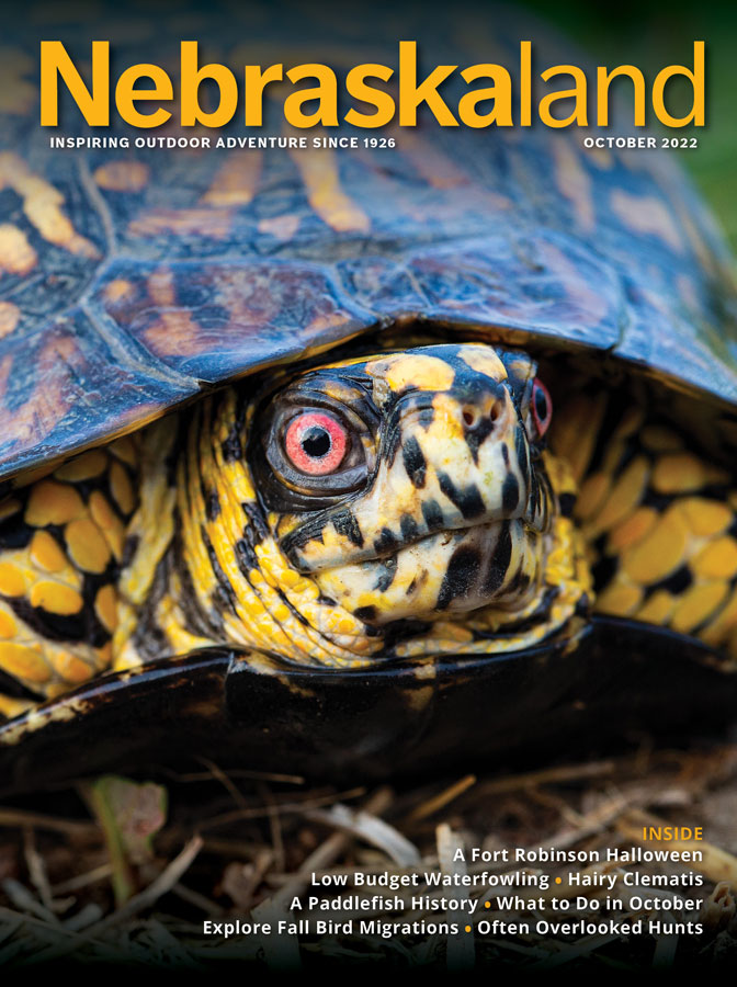 October 2022 Nebraskaland cover with an ornate box turtle