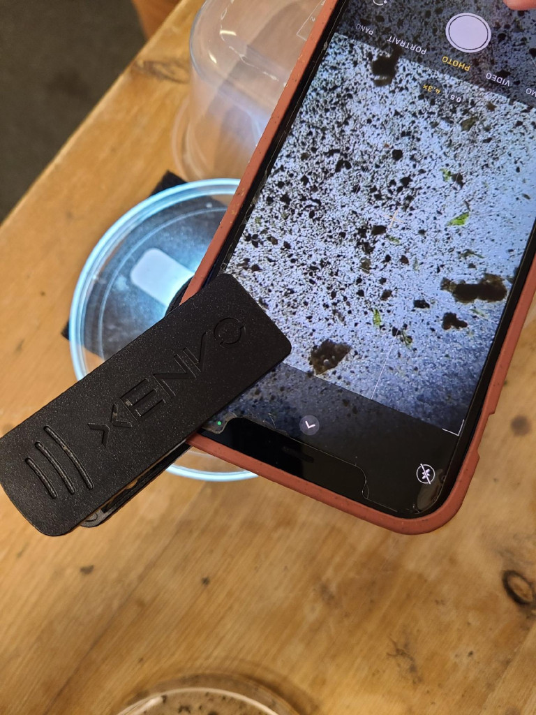 A smartphone rests on a cup with its camera on. Visible are green and brown hunks of moss and dirt