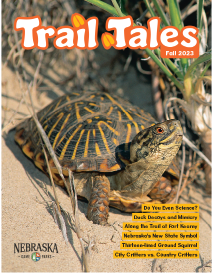 Cover of trail tales edition featuring a box turtle
