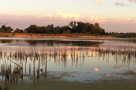 a sun sets on a full wetland