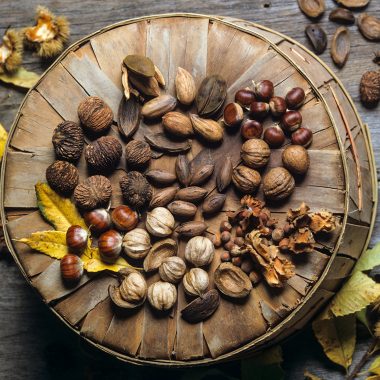 Chinese chestnut, English walnut, Hazelnut, shagbark hickory, European chestnut, pecan, black walnut, pecan-hickory cross spread display.