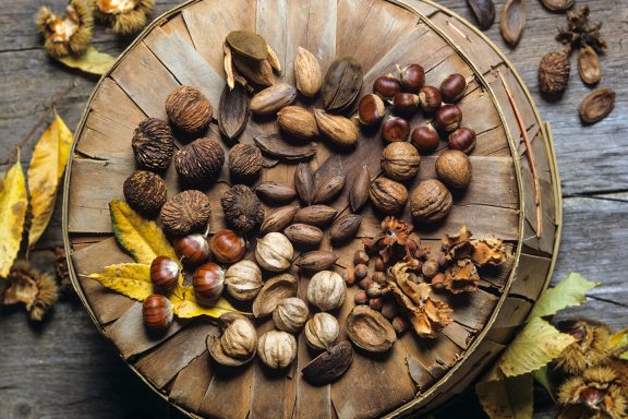 Chinese chestnut, English walnut, Hazelnut, shagbark hickory, European chestnut, pecan, black walnut, pecan-hickory cross spread display.