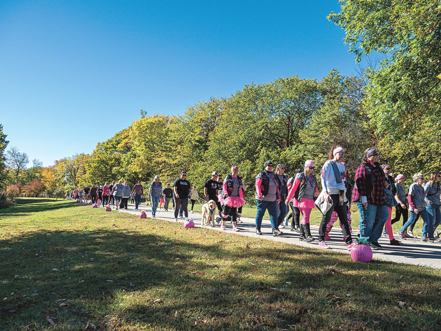 People walking the Pink Pumpkin Walk at Indian Cave.