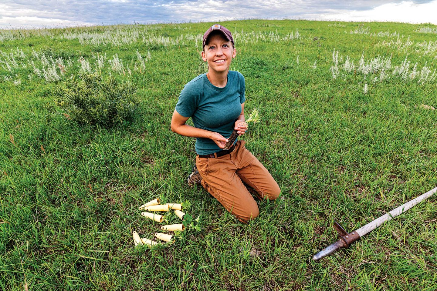 a female biologist planting prairie violets