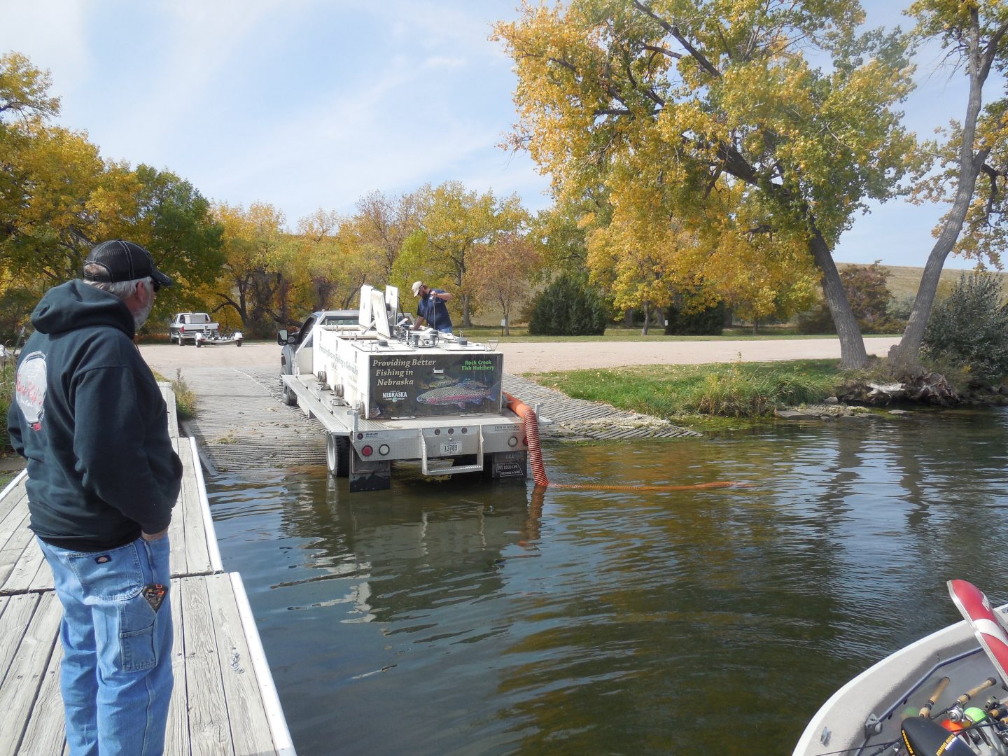 a man watches on as a truck loaded with fish back into a lake to stock trout