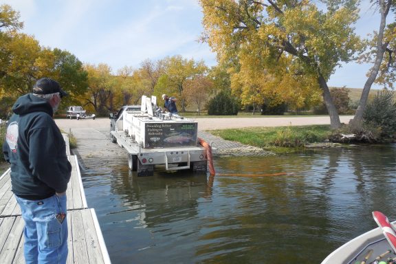 a man watches on as a truck loaded with fish back into a lake to stock trout