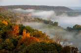 orange and green trees fill the landscape with a haze of fog on the right