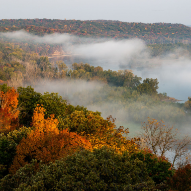 orange and green trees fill the landscape with a haze of fog on the right