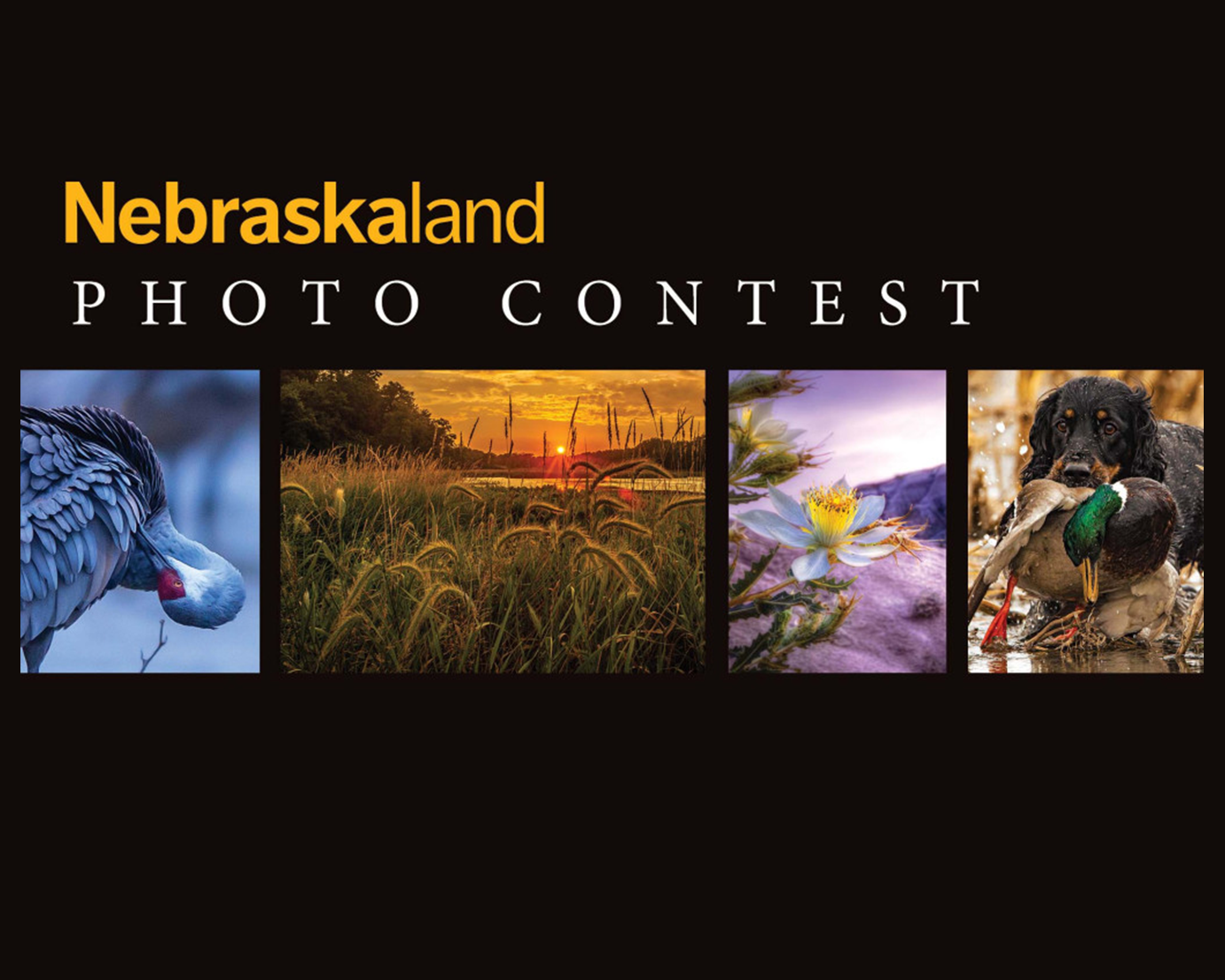 Nebraskaland Photo Contest graphic with four contest images