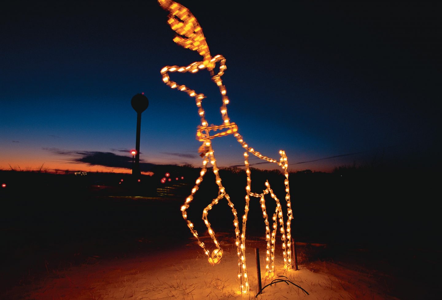 Holiday deer decoration lit up at Mahoney State Park.