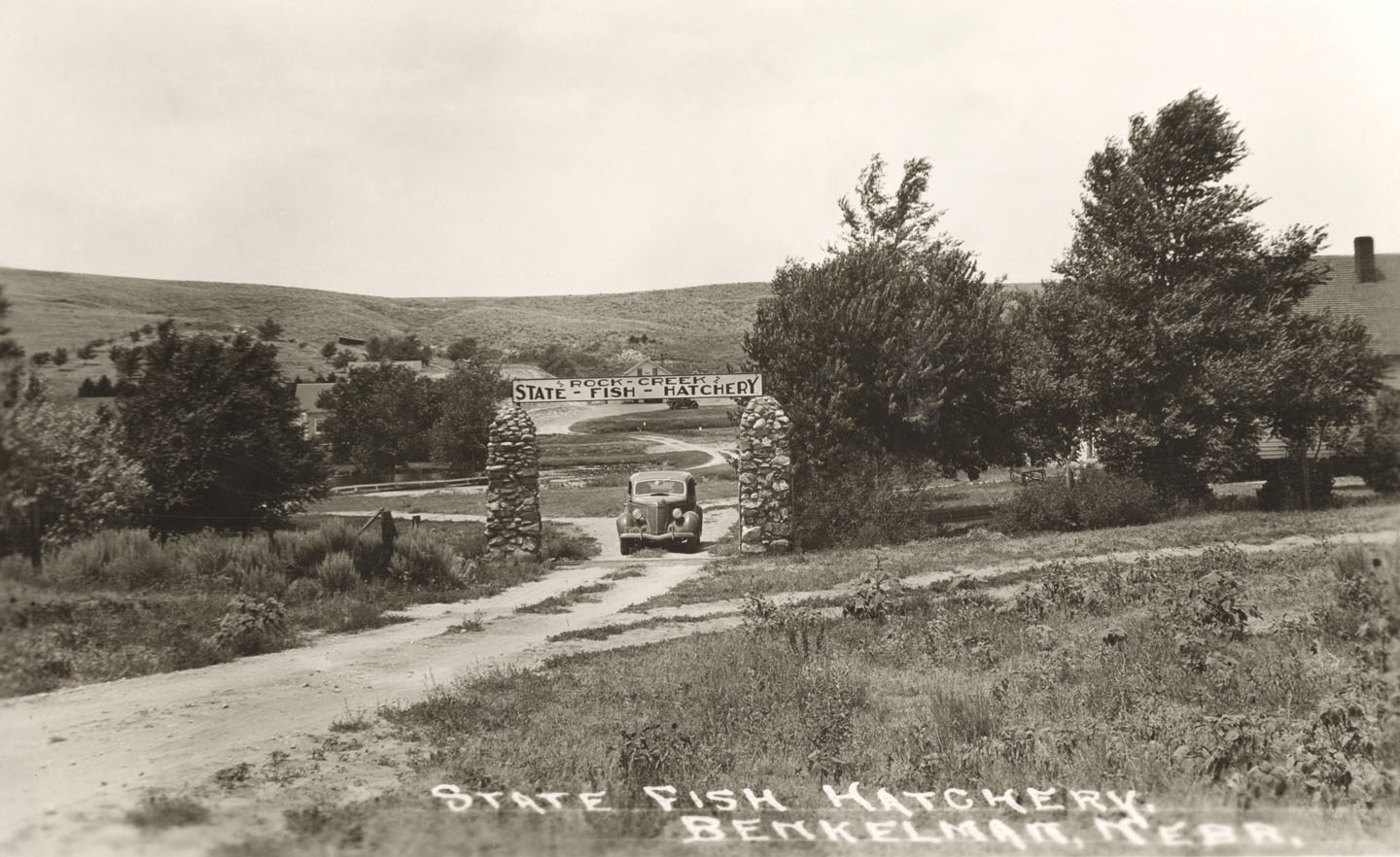 A vehicle drives through the entrance to Rock Creek State Fish Hatchery near Benkelman, circa 1940s. The text on this postcard reads: “State Fish Hatchery, Benkelman, Nebr.”