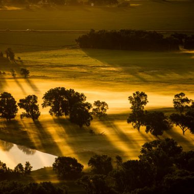 Sun casting shadows across a foggy meadow.