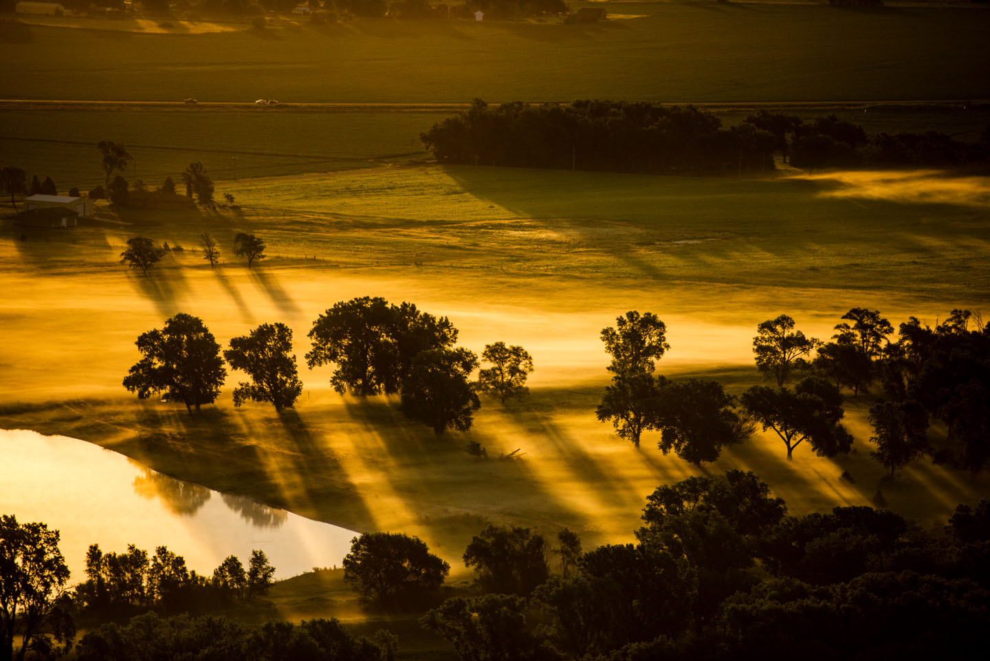 Sun casting shadows across a foggy meadow.