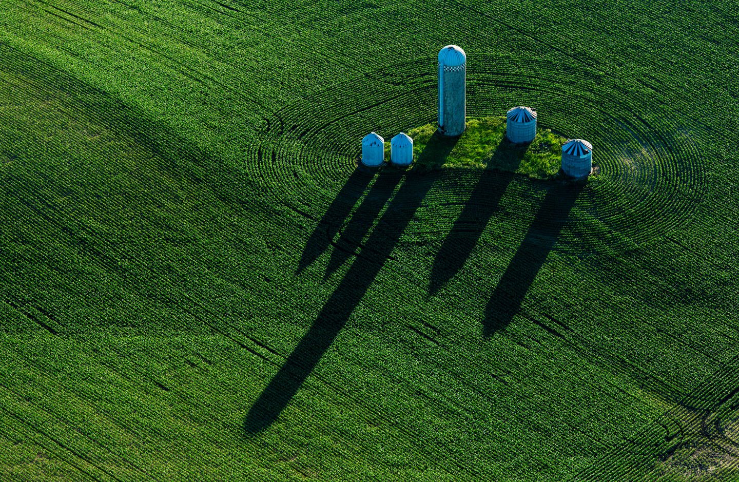 A silo towers over grain bins in a cornfield.