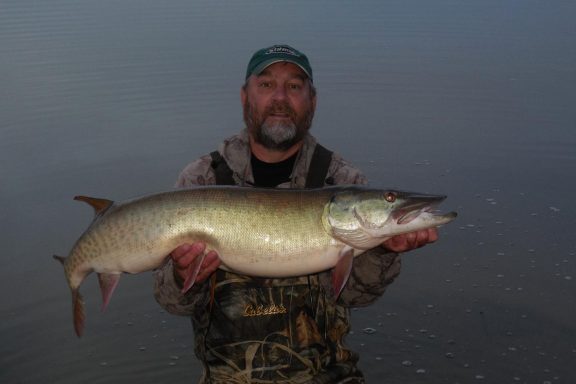 Angler holding muskellunge.