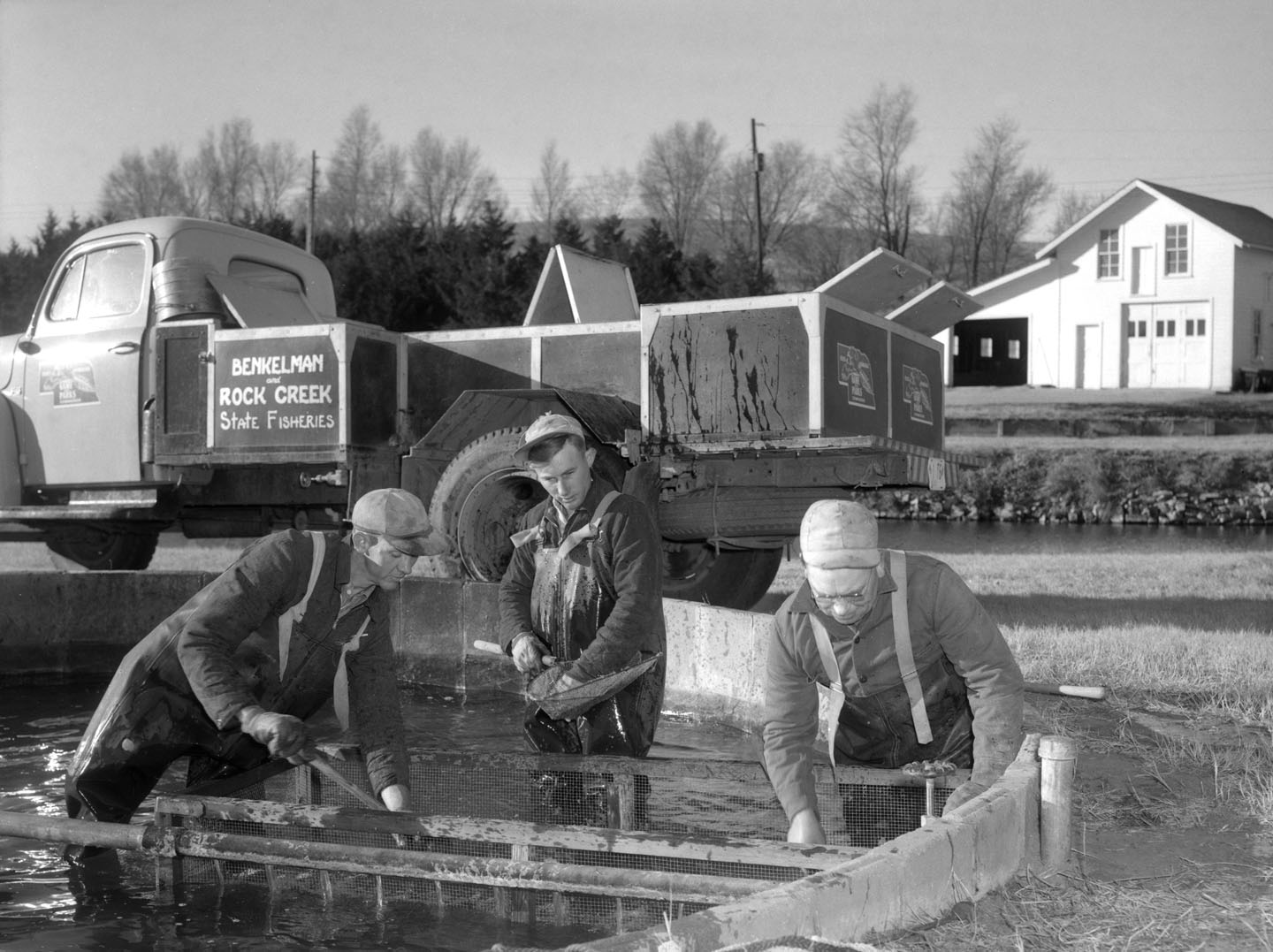 In this 1950s photograph, Rock Creek Hatchery assistant Charles Blank (center) and two assistants, Jerry Plucker (left) and Elvin Bray, seine trout fingerlings from a circular raceway for stocking.