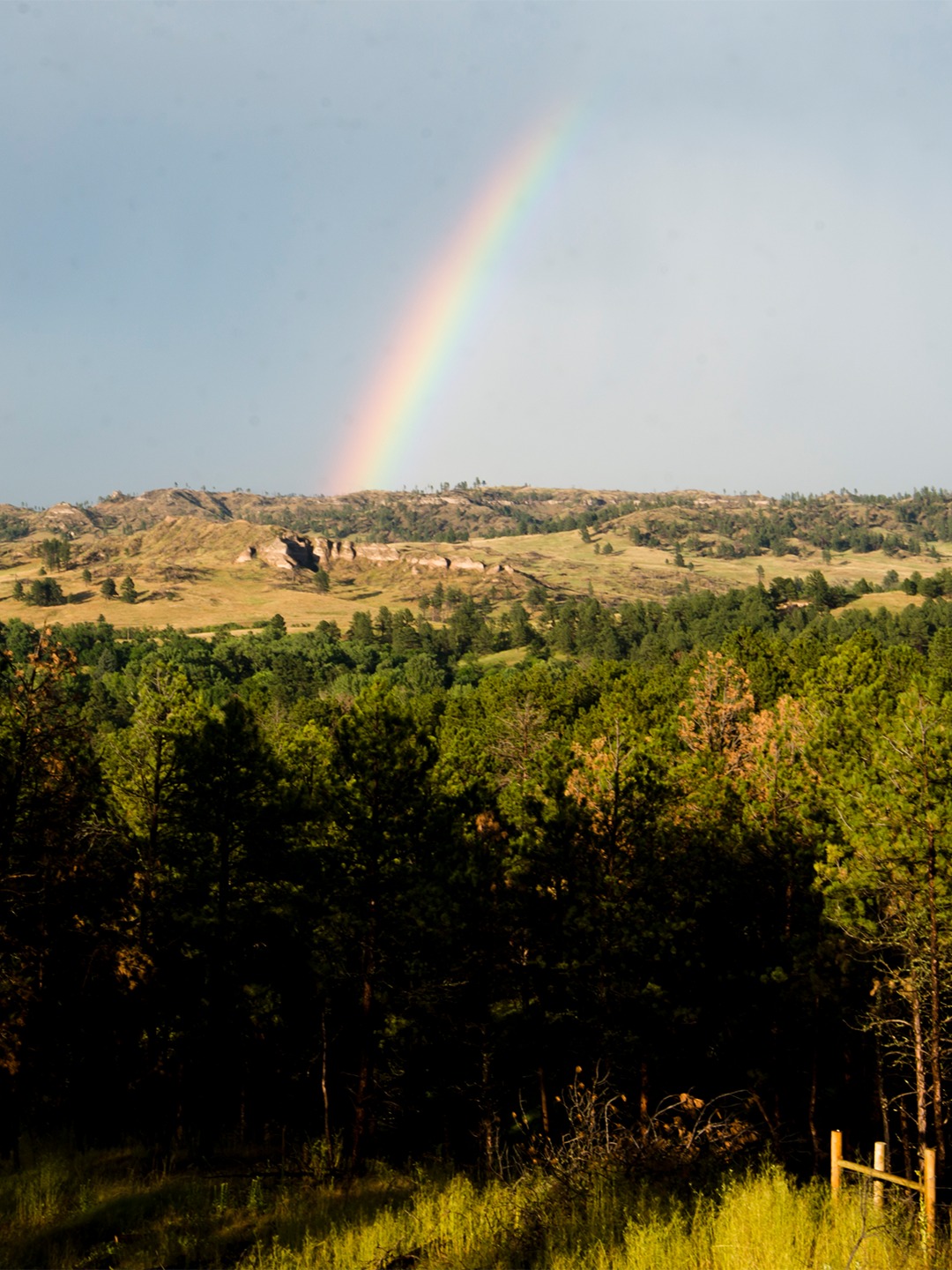 How lucky are we to experience Nebraska's beautiful landscapes and skies? Truly, there's no place better!

Photo by Justin Haag
#Nebraskaland #OutdoorNebraska