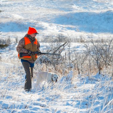 Man and yellow lab pheasant hunting in the snow.