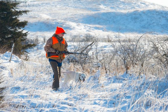 Man and yellow lab pheasant hunting in the snow.