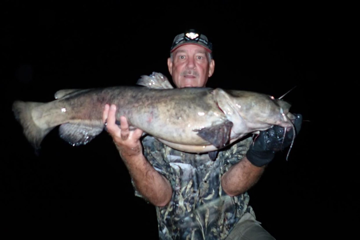 Flathead catfish held by angler.