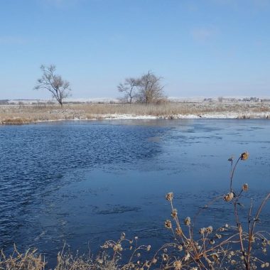 Pond with some ice cover.