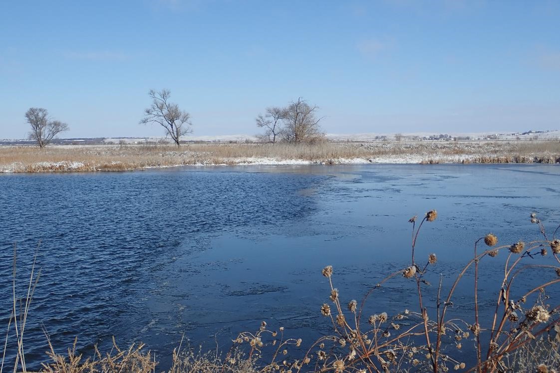 Pond with some ice cover.