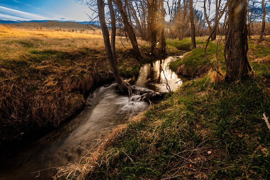 Calm evenings by the creek. 🌅

📷: Justin Haag (@ridgerunner308)
📍: Soldier Creek at Fort Robinson State Park 

#Nebraskaland #NEgameandparks #OutdoorNebraska