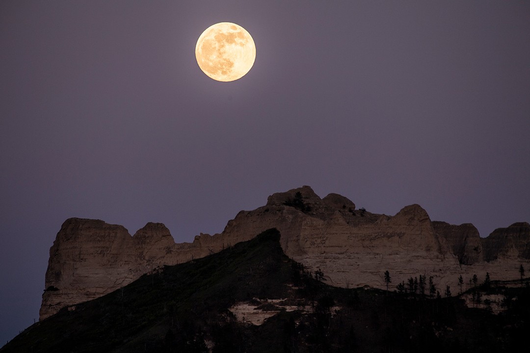 🌕 Step outside and soak in tonight’s full moon, aka the Flower Moon! 🌸

Named for the abundant blossoms of May, it’s a beautiful reminder that spring is in full bloom.

📷: Justin Haag (@ridgerunner308) 

#Nebraskaland #NEgameandparks #FullMoon #OutdoorNebraska