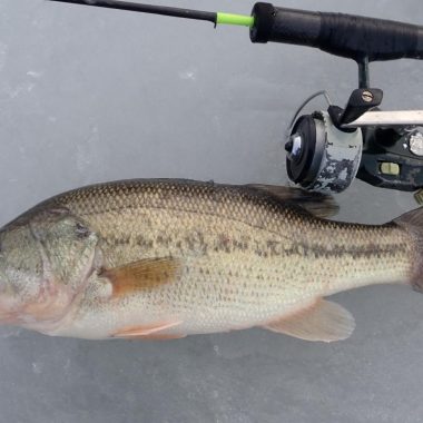 Largemouth bass and fishing rod on ice.