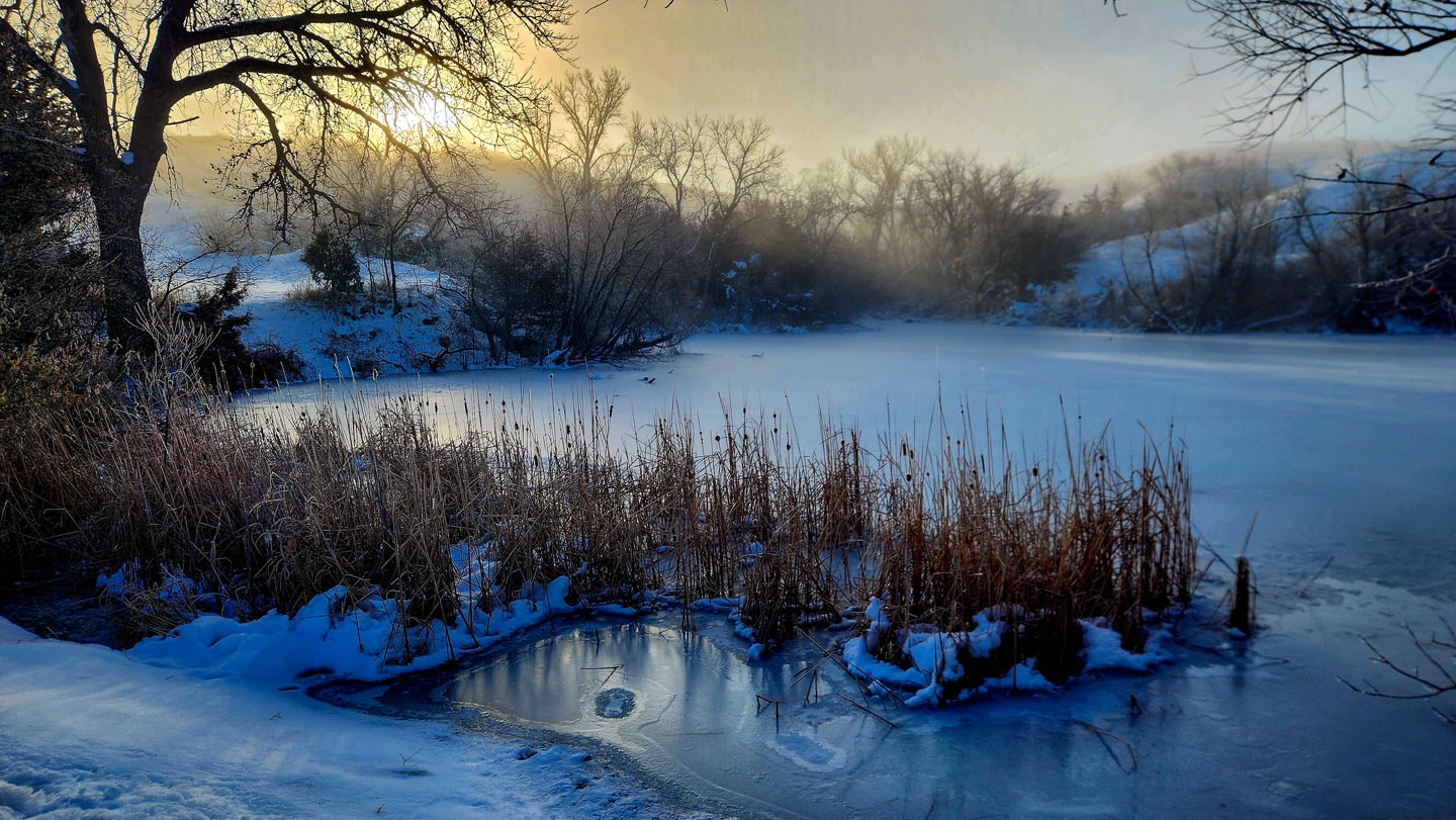 Winter scene at a pond.