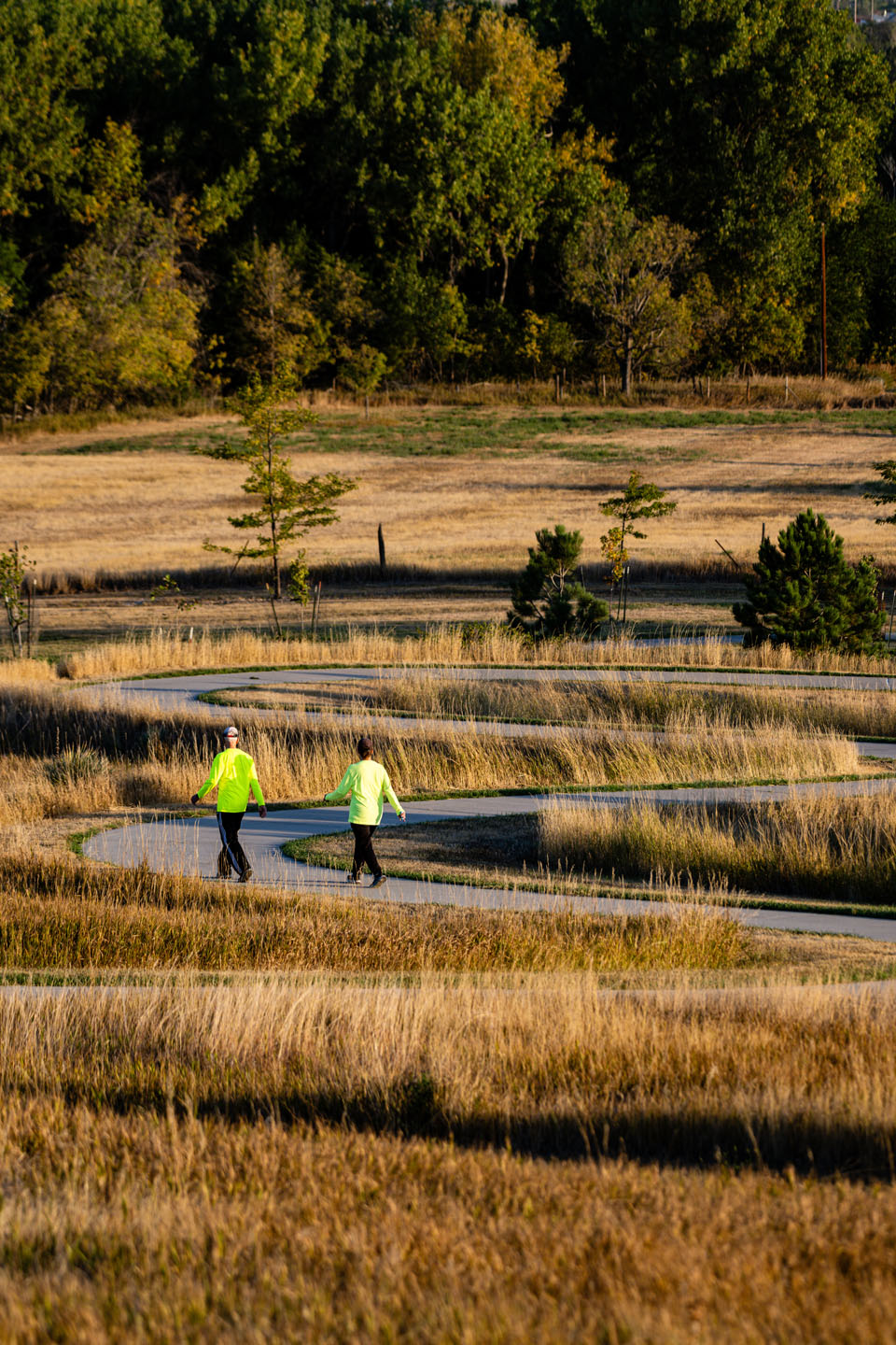 Walkers on a trail.