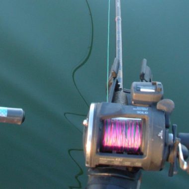 Fishing rod and reel in a rod holder on side of boat.