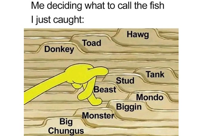 Internet meme of slang names for big fish.