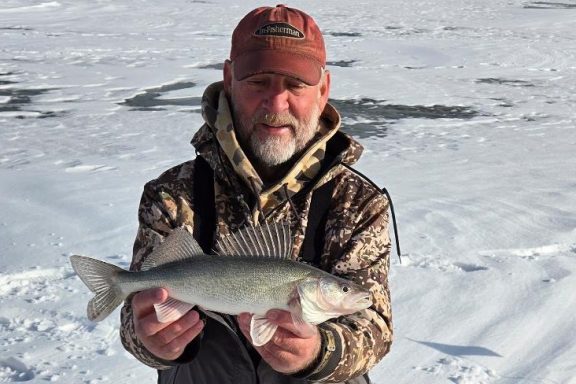 Angler on ice holding a walleye X sauger hybrid.