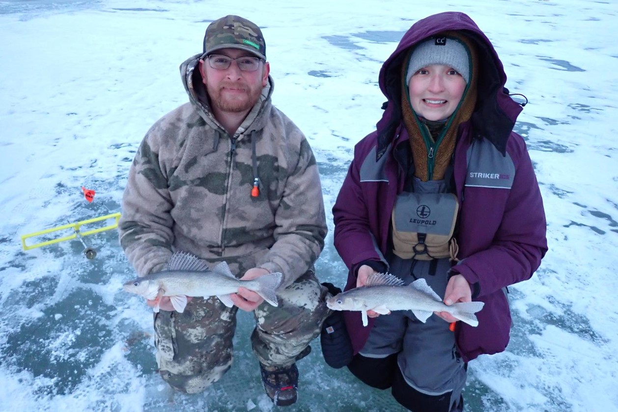 Anglers on ice each holding saugeye.