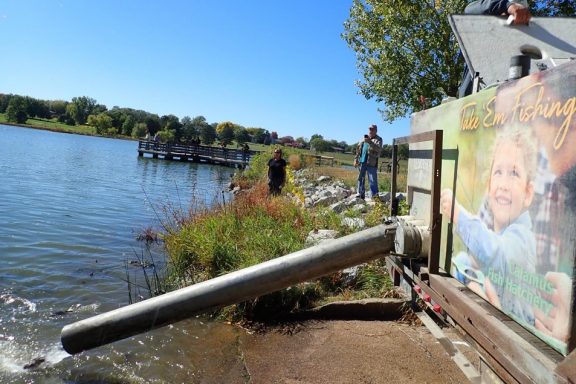 Stocking truck on boat ramp releasing trout through a tube.