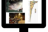 Graphic showing a computer screen with fish, a graph, and a public meeting.