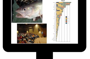 Graphic showing a computer screen with fish, a graph, and a public meeting.