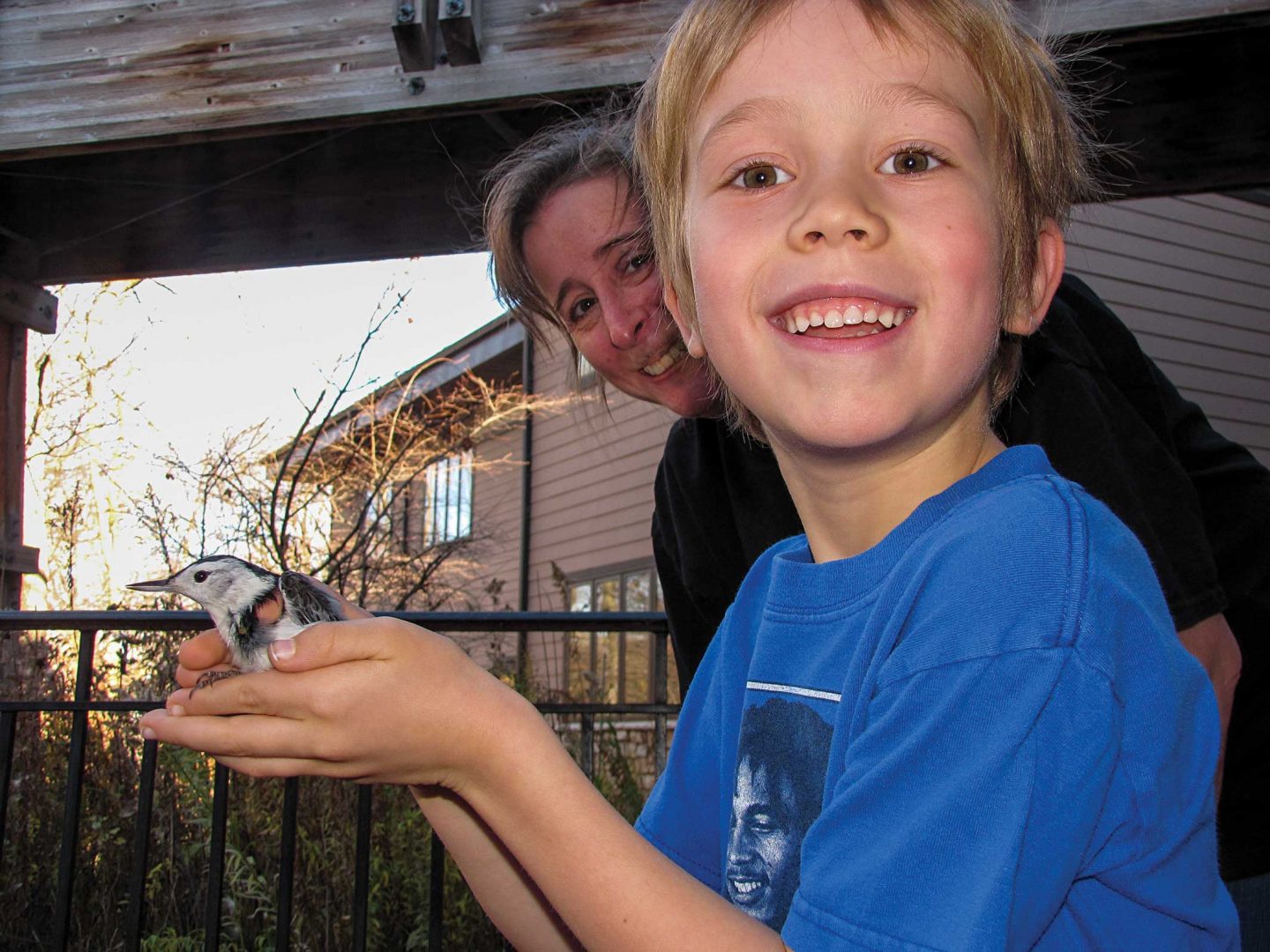 Five-year-old Eli Weber holds a white-breasted nuthatch at the first bird banding workshop he attended at the Fontenelle Forest Nature Center.
