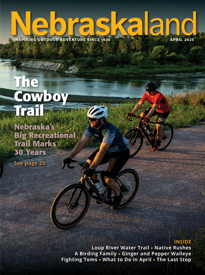 View April 2025 Issue