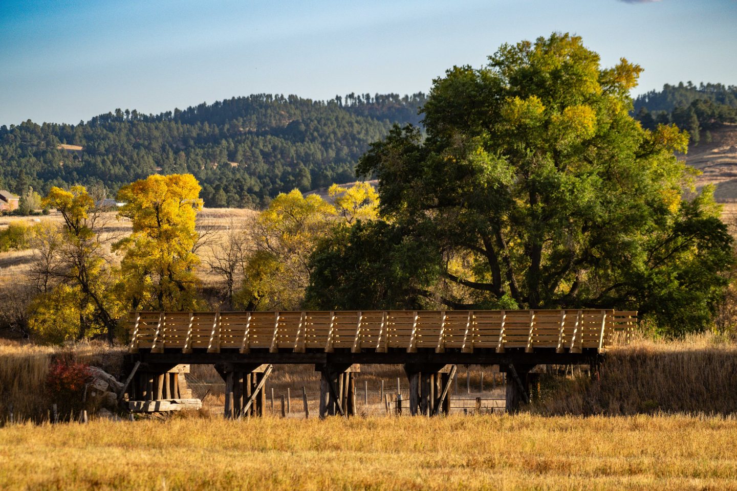 A new bridge on the Cowboy Trail.