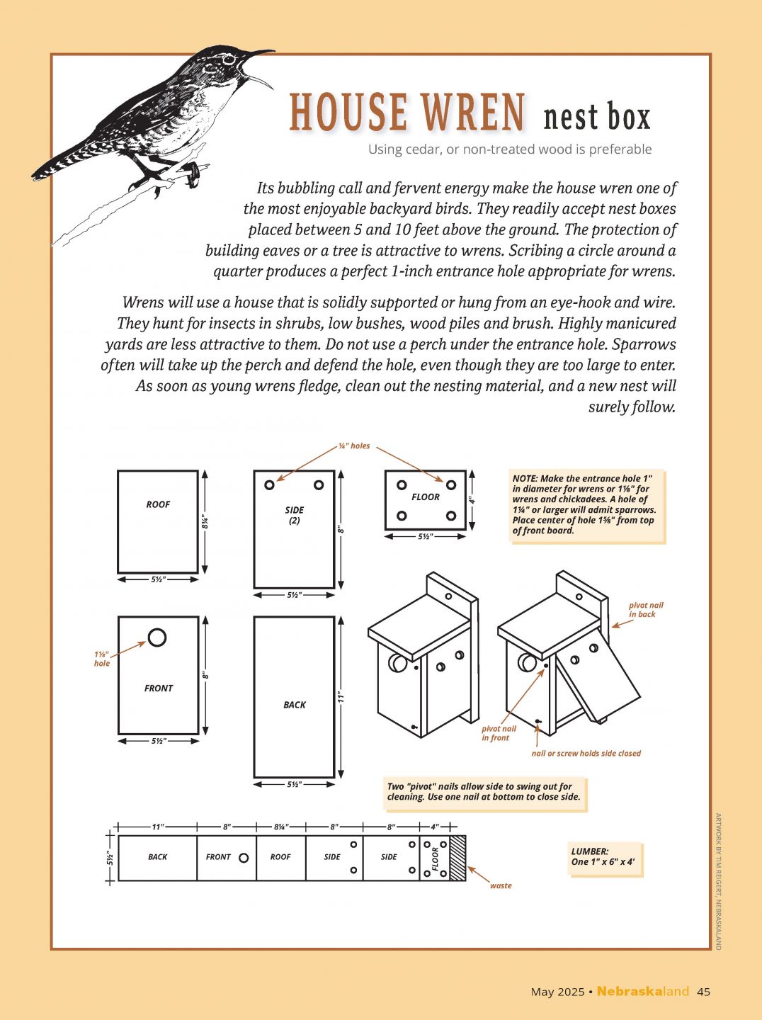 How to build a house wren box.