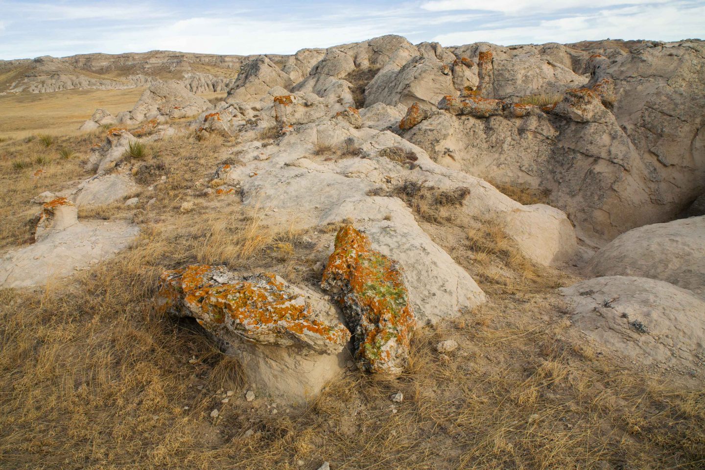 Lichen can grow virtually anywhere, especially in places where other organisms would not survive, such as this area in Sioux County along the Niobrara River.