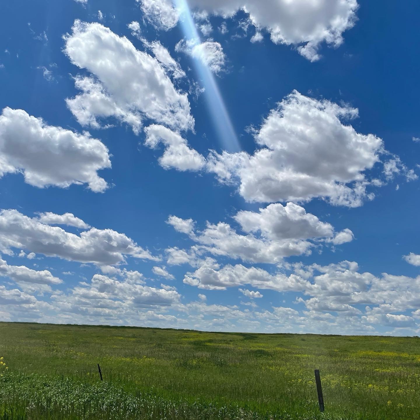 Cumulus clouds.
