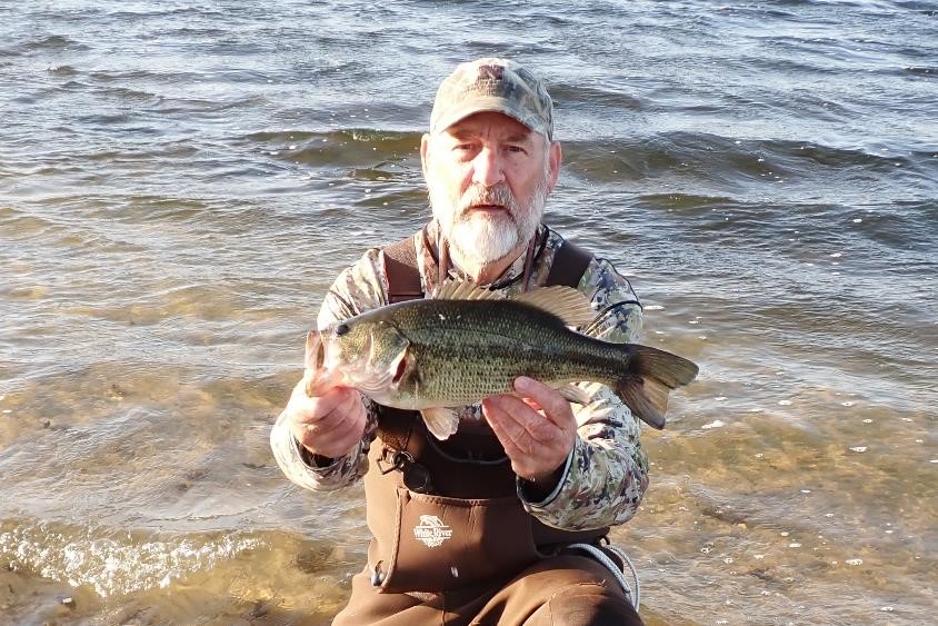 Angler in shallow water holding a largemouth bass.
