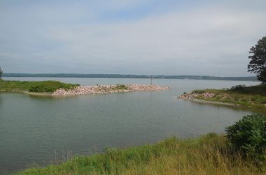 Mouth of bay on reservoir.