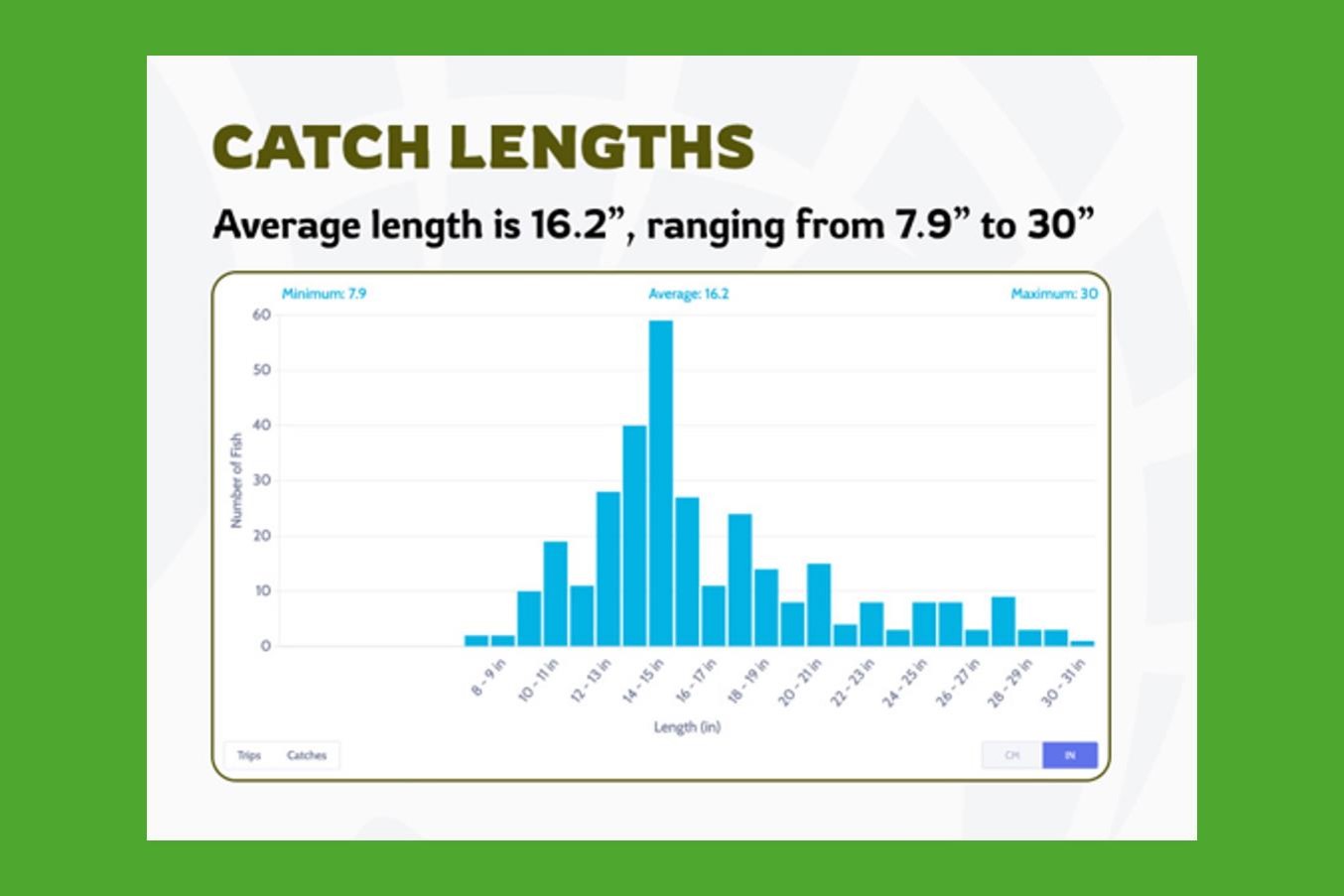 Graph of lengths of Nebraska walleyes entered in the Midwest Walleye Challenge, 2025